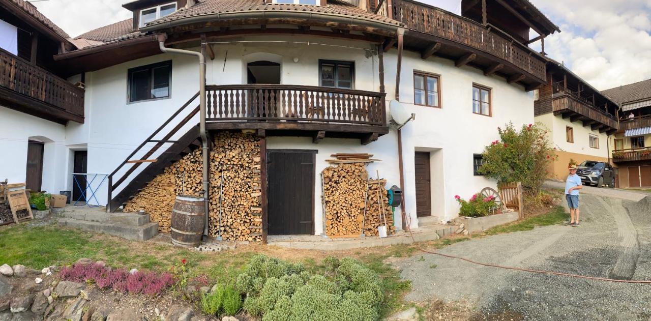 Gailtal Appartements Naehe Skigebiet Wertschach Экстерьер фото